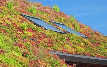Moira living roof systems