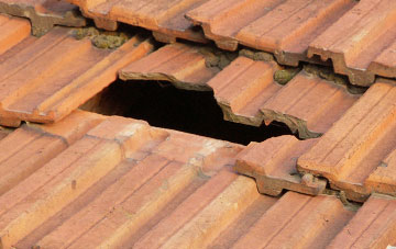 roof repair Moira