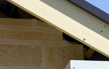 soffit repair Moira