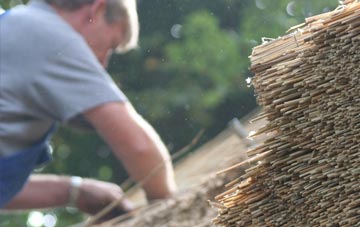 professional Moira thatchers