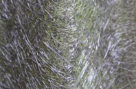 Moira fibreglass roof work